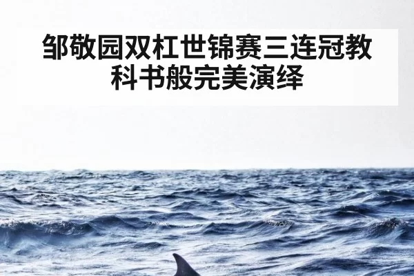 邹敬园双杠世锦赛三连冠教科书般完美演绎