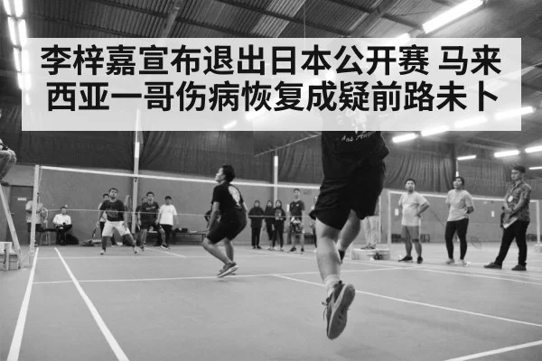 李梓嘉宣布退出日本公开赛 马来西亚一哥伤病恢复成疑前路未卜